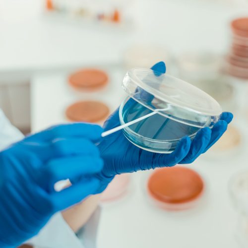 Kit HACCP completo – analisi delle superfici, manuale stampato e formazione